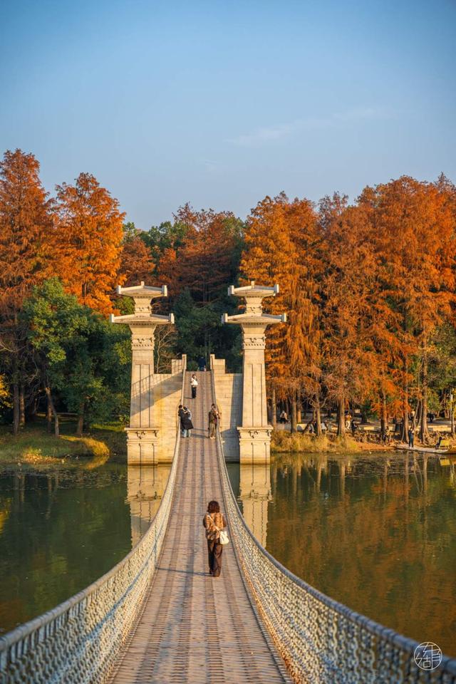 东湖冬日必打卡！观“雪”景、赏秋色、追落日！