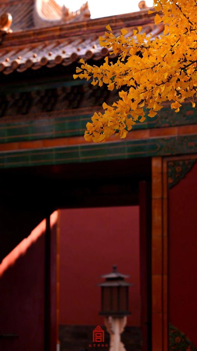 故宫秋日壁纸，上新了！