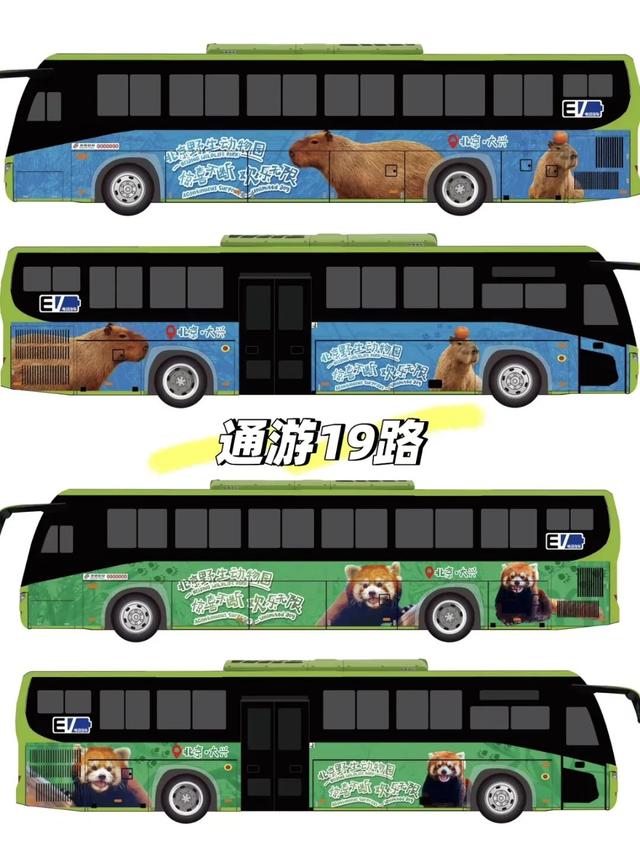北京的“疯狂动物城”！一站直达！简直太方便！ | 周末京郊微度假