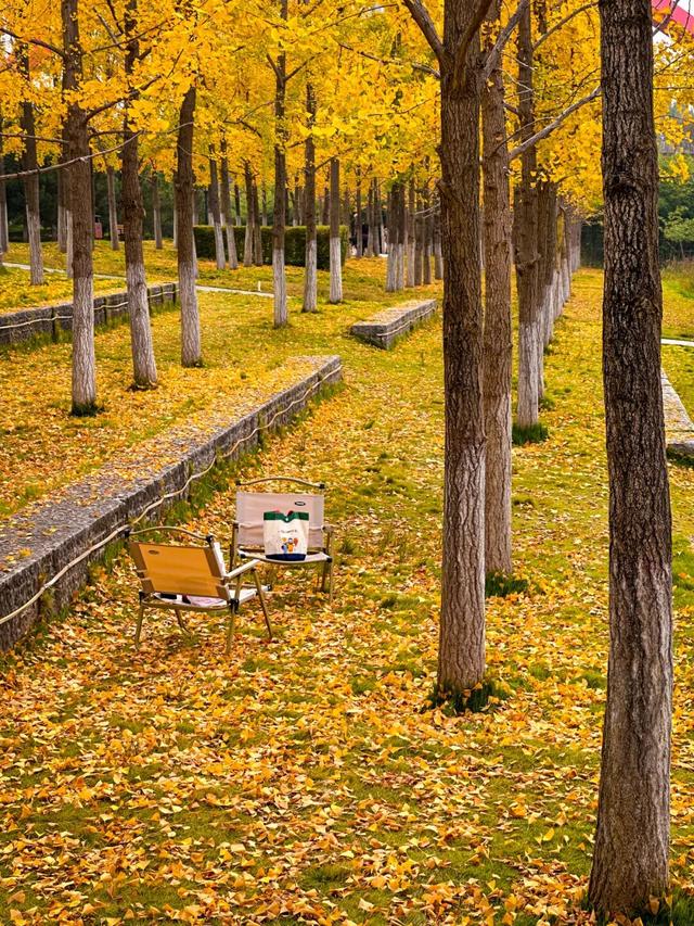 又是一年秋好处