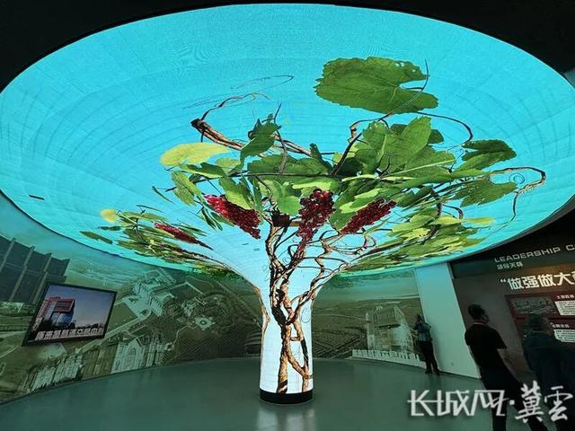 聚焦第九届河北省旅游产业发展大会张家口分会场|镜头下的怀来：“微醺”飘香 “好物”炫目