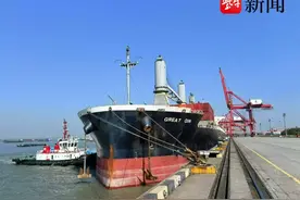 南京港开通南美洲直航远洋集装箱航线图片