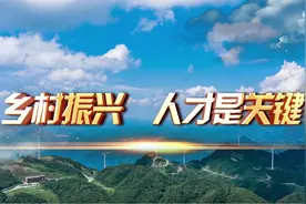 乡村振兴丨永州零陵：我的梦想我的村视频封面