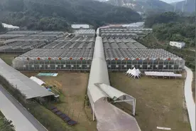 寒潮对广州农业影响“有害也有利”，请做好防寒保暖及科学蓄水工作图片