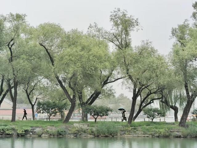 水墨颐和园，胜似烟雨江南