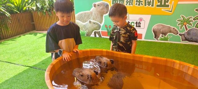8月清远文旅热力全开！清远长隆上新：森林温泉趣味戏水 东南亚美食飘香