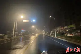 小区门口路灯一到半夜就开始闪烁，原来是……图片