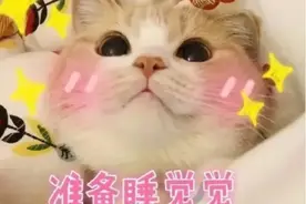 当你睡着了，麻醉医生在干嘛？图片