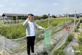 儿时爱好成了事业，衢州男子运营“青蛙钓场”年入百万图片