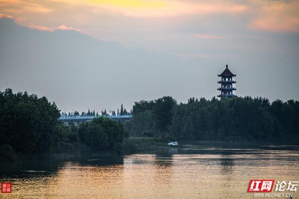 安乡书院洲：把时光慢放的傍晚湿地