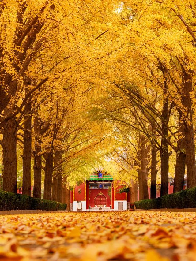 11月最应该去哪里旅行？