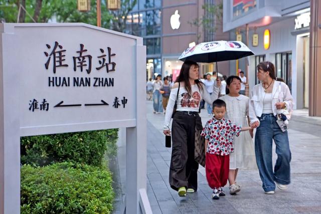 淮南：夜炫春申里