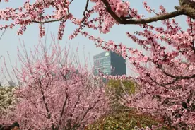 踏青的N种打开方式，相约一起来看“花花世界”鸭！图片