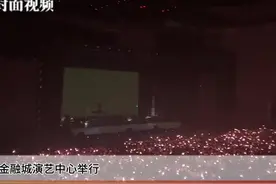 四川文旅吉祥物给王以太演唱会上分图片