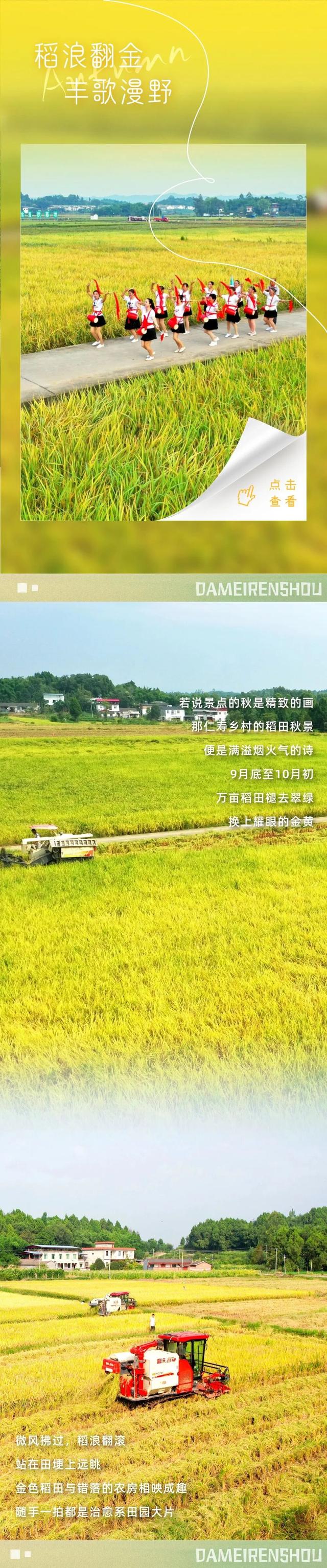 秋日预告，仁寿的绝色在这里集齐了