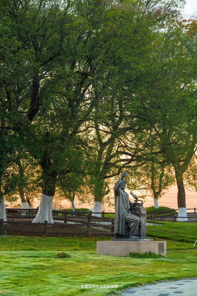 武汉为百年古树建公园，免费开放！