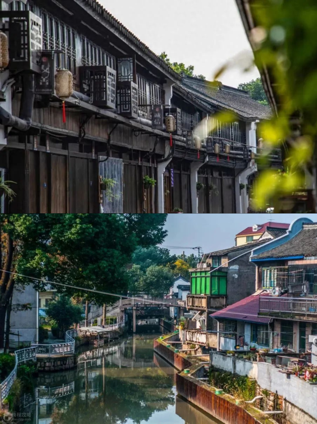 国庆休闲到奉贤｜带着爸妈去旅游，奉贤游玩攻略分享