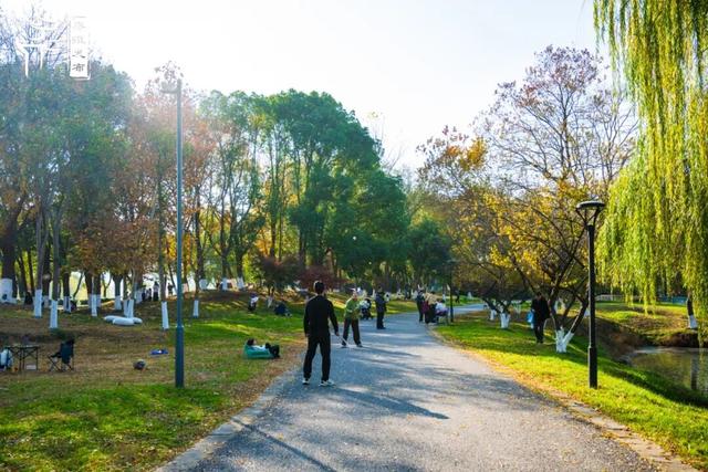 秦淮citywalk｜七桥瓮湿地公园