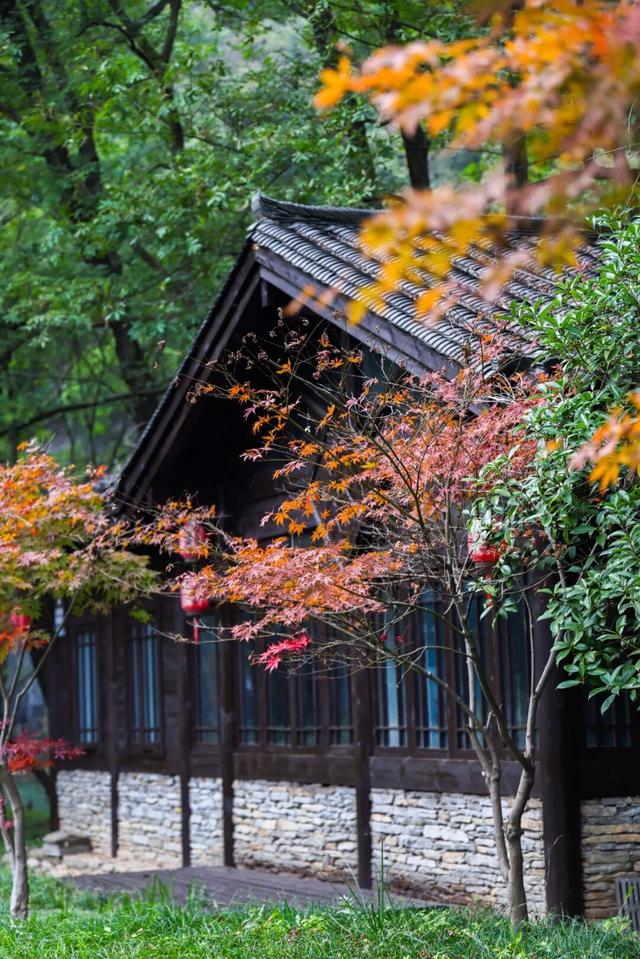 南漳秋色正当时！3个赏秋好去处，一键收藏绝美秋景