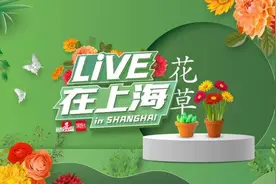 居民们看不懂，家门口这条美了十几年的马路今年忽然爆火！把马路当公园拍，太危险…图片