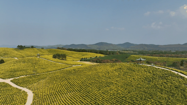 在郎溪，两天一夜还可以这样游！