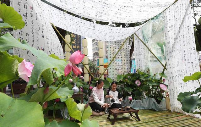 盛夏入伏时节   清凉春城引客来