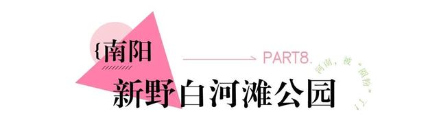 河南，被圈“粉”了！