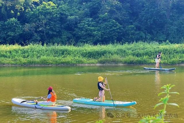 跟着赛事游鹤山！动起来！用运动方式打开鹤山～