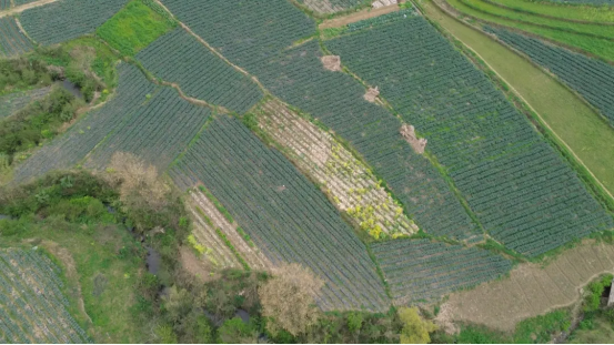 【乡愁印迹·村史村事】文旅篇 | 喀斯特秘境里的宝藏村落 雨核村的文旅新打开方式​