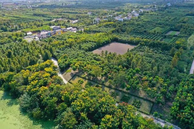 东台有啥骄傲的？