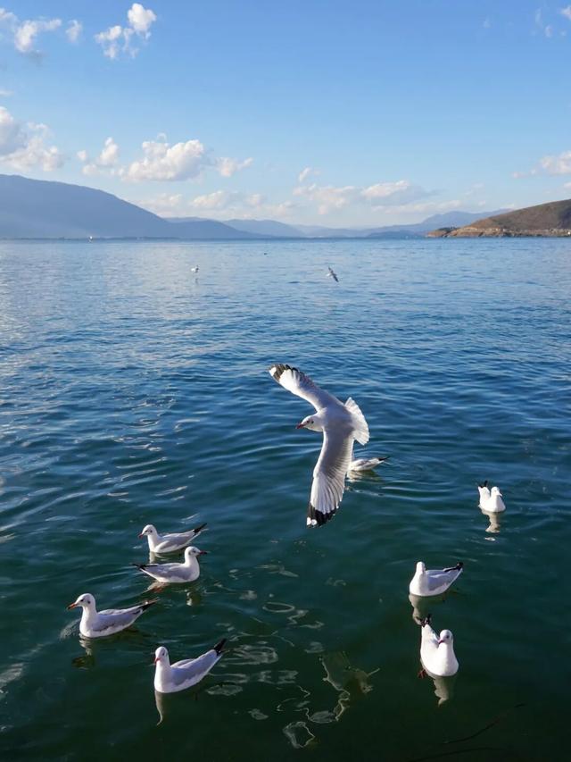 看，此刻的大理！