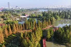 江苏扬州秋染运河三湾 景美如画图片