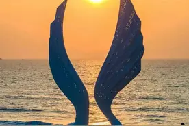 夜读丨初光先照图片