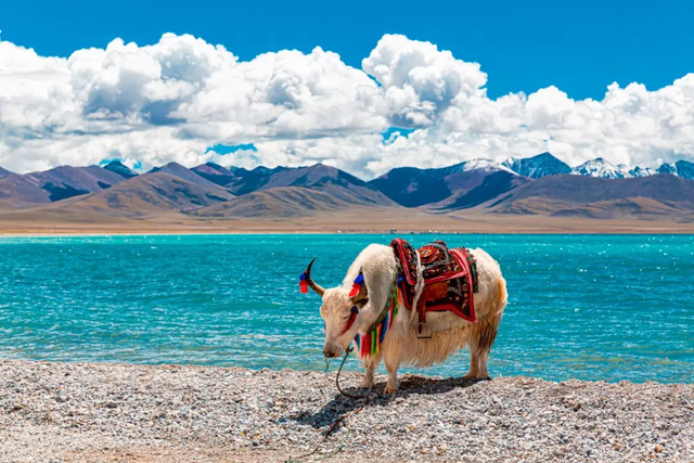 年轻人旅行不赶场了！“特种兵”变沉浸式“慢游”