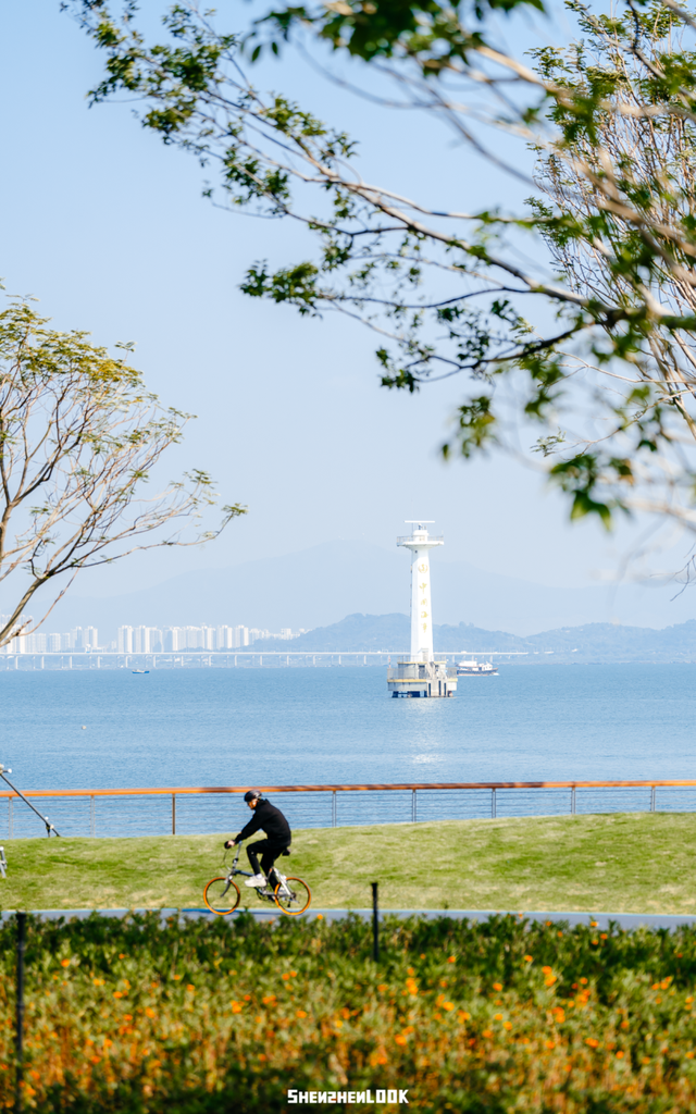 “看牛看海看夜景，深圳骑行路线精选”