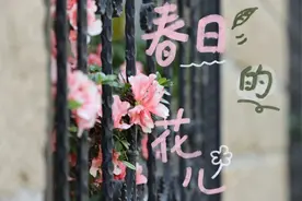 颜值爆表！福建高校校花曝光！图片