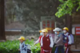 杨柳絮纷飞过敏者增多，常备的氯雷他定一天能吃几次？图片