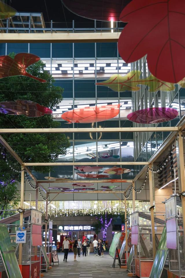 夜色虹桥，给你不一样的美！