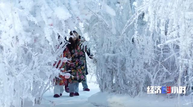 暑期市场吹起“清凉风”，滑雪场的夏天解锁新玩法