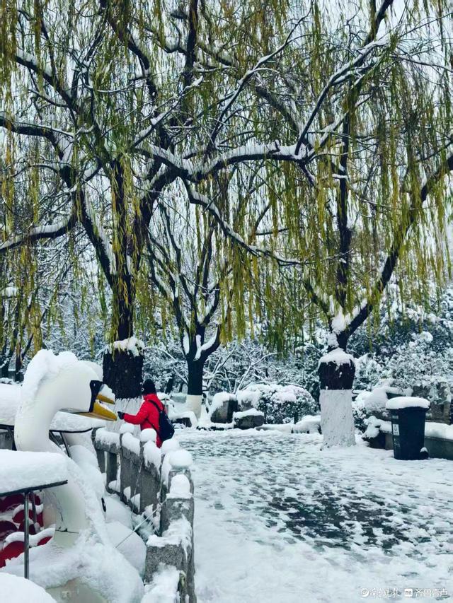 雪中泉城公园美不胜收