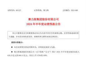 赛力斯：预计上半年净利润13.9亿到17亿元，扭亏为盈图片