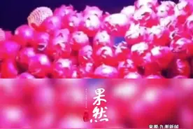 广西街头红心火龙果10元70个，种植户回应 :小果(每斤)几毛钱，一般不论个数卖，可能是怕放久了烂掉图片