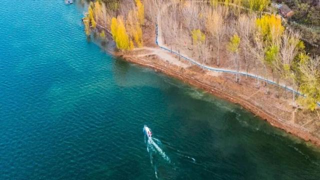 季节限定！洛阳些“海”人少景美，快出发！