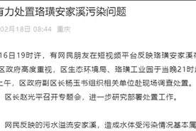 网民反映黑臭水排入长江，重庆江津通报图片