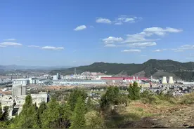 市州观察丨融圈强链 达州布局22条重点产业链图片