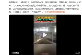 6岁男孩在自家牛棚玩耍被公牛顶撞，村委会：已不幸去世图片