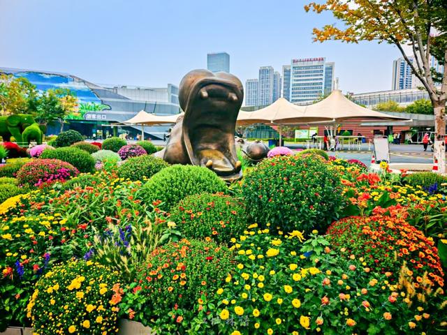 武汉官宣：11月1日，持续一个月！很多市民等了一年——