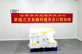 金阳虹鳟鱼打“飞的”到新加坡，“凉山水产”开启出川出国之路图片