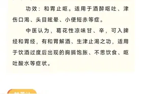 佳节饮酒，如何解酒？图片