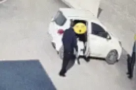 一觉醒来天塌了！男子凌晨盗窃后在网约车中酣睡，被司机一脚油送到派出所图片